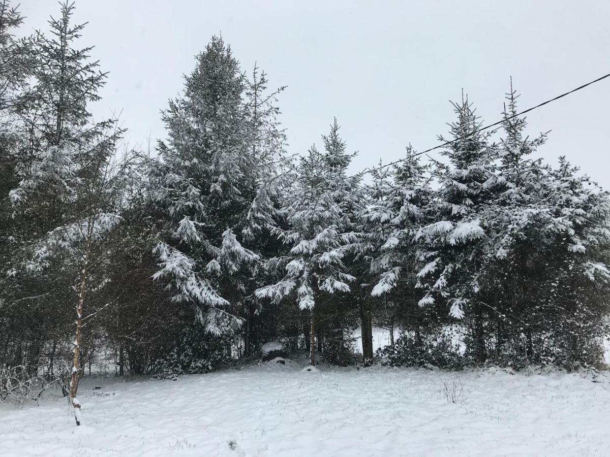 Ballygown Cottage Torpys Cross Roads Luaran gambar